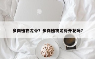 多肉植物龙骨？多肉植物龙骨开花吗？