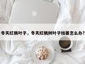 冬天红枫叶子，冬天红枫树叶子枯萎怎么办？