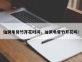 仙洞龟背竹开花时间，仙洞龟背竹开花吗！