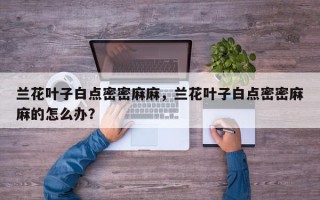 兰花叶子白点密密麻麻，兰花叶子白点密密麻麻的怎么办？