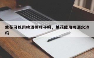 兰花可以用啤酒擦叶子吗，兰花能用啤酒水浇吗