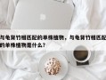 与龟背竹相匹配的单株植物，与龟背竹相匹配的单株植物是什么？