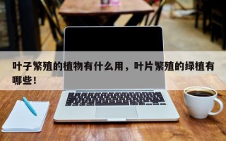 叶子繁殖的植物有什么用，叶片繁殖的绿植有哪些！