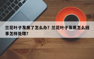 兰花叶子发黑了怎么办？兰花叶子发黑怎么回事怎样处理？