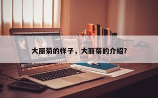 大丽菊的样子，大丽菊的介绍？