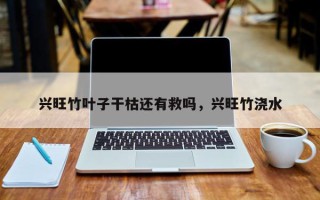 兴旺竹叶子干枯还有救吗，兴旺竹浇水