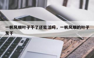 一帆风顺叶子干了还能活吗，一帆风顺的叶子发干