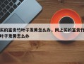 买的富贵竹叶子发黄怎么办，网上买的富贵竹叶子发黄怎么办