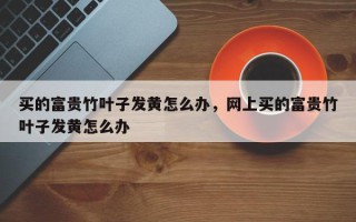 买的富贵竹叶子发黄怎么办，网上买的富贵竹叶子发黄怎么办