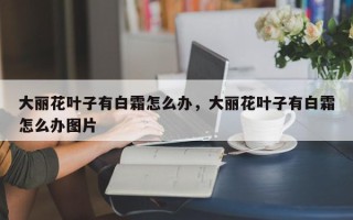 大丽花叶子有白霜怎么办，大丽花叶子有白霜怎么办图片