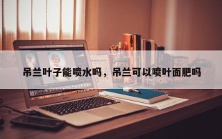 吊兰叶子能喷水吗，吊兰可以喷叶面肥吗