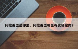 阿拉善盟是哪里，阿拉善盟哪里有卖骆驼肉？