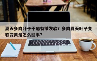 夏天多肉叶子干瘪有皱发软？多肉夏天叶子变软变黄是怎么回事？