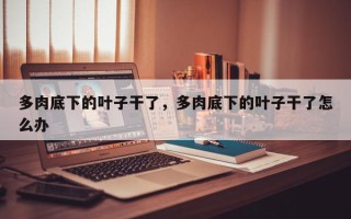 多肉底下的叶子干了，多肉底下的叶子干了怎么办