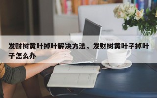 发财树黄叶掉叶解决方法，发财树黄叶子掉叶子怎么办