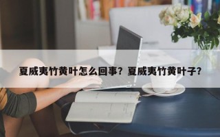 夏威夷竹黄叶怎么回事？夏威夷竹黄叶子？