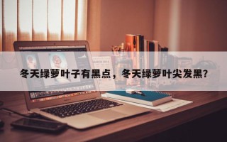 冬天绿萝叶子有黑点，冬天绿萝叶尖发黑？
