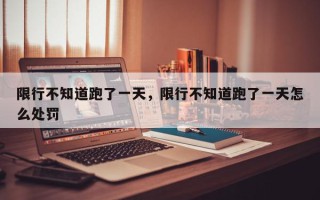 限行不知道跑了一天，限行不知道跑了一天怎么处罚