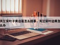 天竺葵叶子黄边是怎么回事，天竺葵叶边黄怎么办