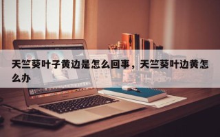 天竺葵叶子黄边是怎么回事，天竺葵叶边黄怎么办