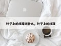 叶子上的纹路叫什么，叶子上的纹理