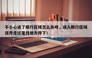 不小心进了限行区域怎么办呀，误入限行区域该开走还是找地方停下！