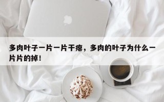 多肉叶子一片一片干瘪，多肉的叶子为什么一片片的掉！
