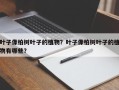 叶子像柏树叶子的植物？叶子像柏树叶子的植物有哪些？