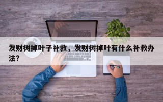 发财树掉叶子补救，发财树掉叶有什么补救办法?