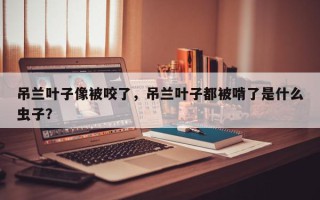 吊兰叶子像被咬了，吊兰叶子都被啃了是什么虫子？