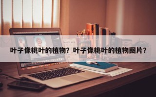 叶子像桃叶的植物？叶子像桃叶的植物图片？