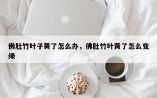 佛肚竹叶子黄了怎么办，佛肚竹叶黄了怎么变绿