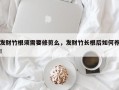 发财竹根须需要修剪么，发财竹长根后如何养！