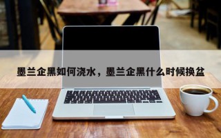 墨兰企黑如何浇水，墨兰企黑什么时候换盆