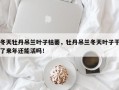 冬天牡丹吊兰叶子枯萎，牡丹吊兰冬天叶子干了来年还能活吗！