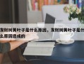 发财树黄叶子是什么原因，发财树黄叶子是什么原因造成的
