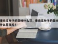 像南瓜叶子的花叫什么花，像南瓜叶子的花叫什么花图片？