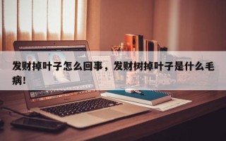 发财掉叶子怎么回事，发财树掉叶子是什么毛病！