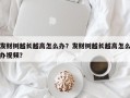 发财树越长越高怎么办？发财树越长越高怎么办视频？