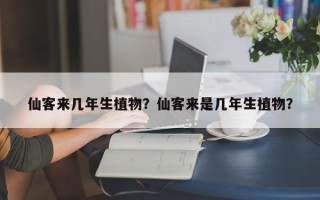 仙客来几年生植物？仙客来是几年生植物？