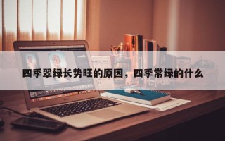 四季翠绿长势旺的原因，四季常绿的什么