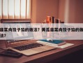 韭菜肉饺子馅的做法？黄瓜韭菜肉饺子馅的做法？