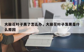 大丽花叶子黑了怎么办，大丽花叶子发黑是什么原因