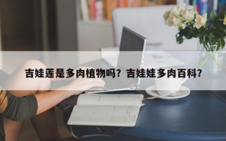 吉娃莲是多肉植物吗？吉娃娃多肉百科？
