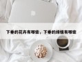 下垂的花卉有哪些，下垂的绿植有哪些
