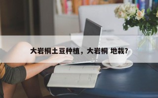 大岩桐土豆种植，大岩桐 地栽？