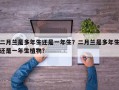 二月兰是多年生还是一年生？二月兰是多年生还是一年生植物？