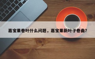 嘉宝果卷叶什么问题，嘉宝果新叶子卷曲？