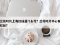 兰花叶片上有红线是什么花？兰花叶片中心有红丝？