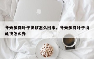冬天多肉叶子发软怎么回事，冬天多肉叶子消耗快怎么办